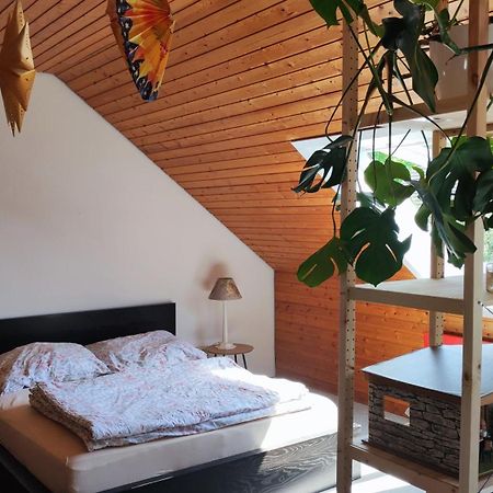 Big Cozy Entire Family Appartment Hanovre Extérieur photo